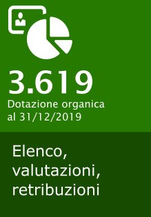 3.619, dotazione organica al 31 dicembre 2019